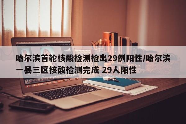 哈尔滨首轮核酸检测检出29例阳性/哈尔滨一县三区核酸检测完成 29人阳性