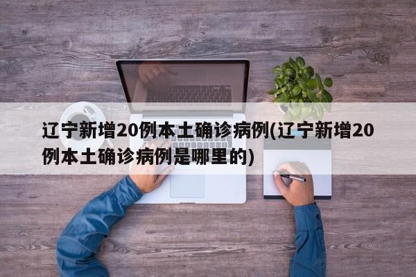 辽宁新增20例本土确诊病例(辽宁新增20例本土确诊病例是哪里的)