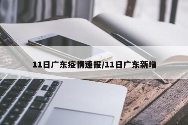 11日广东疫情速报/11日广东新增