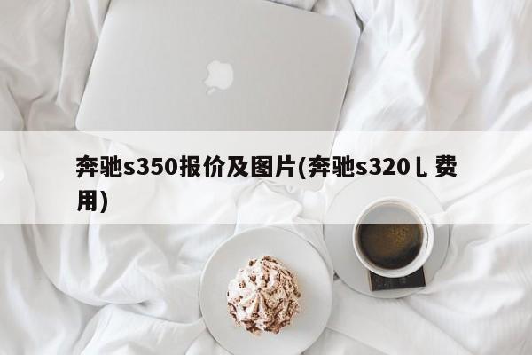 奔驰s350报价及图片(奔驰s320乚费用)