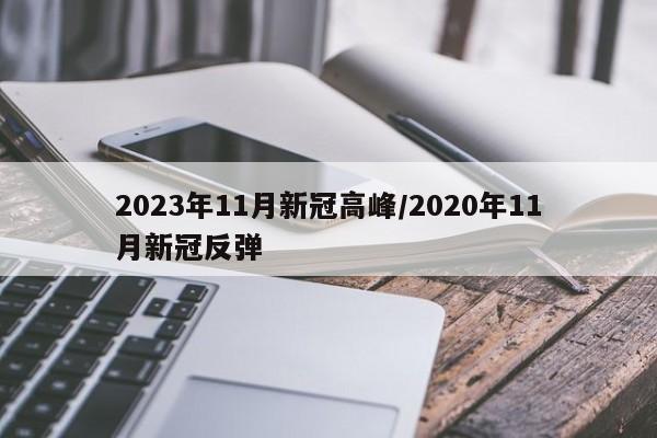 2023年11月新冠高峰/2020年11月新冠反弹
